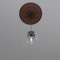 Ekena Millwork Baltimore PVC Medallion (Canopies up to 7 3/4"), 22"OD x 3 1/2"ID x 1"P, Metallic Rust CMP22BADRU - alternate 7